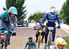 921H7903 bmx-tc-11-9-21
